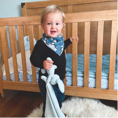 🇨🇦 Bandana Bib - Animals (10 styles)