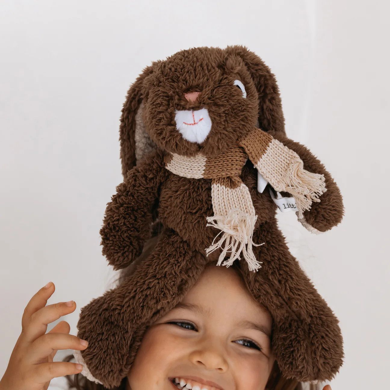 Frankie Rabbit, Medium
