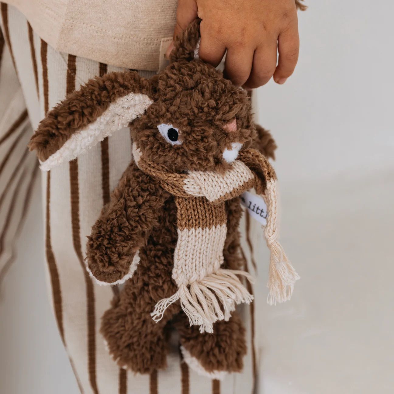 Frankie Rabbit, Mini