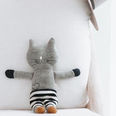 Winston Cat