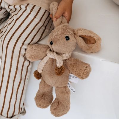 Hugh Rabbit, Medium