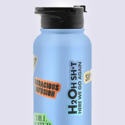 Sassy Bottle/ Mug Stickers (3 styles)