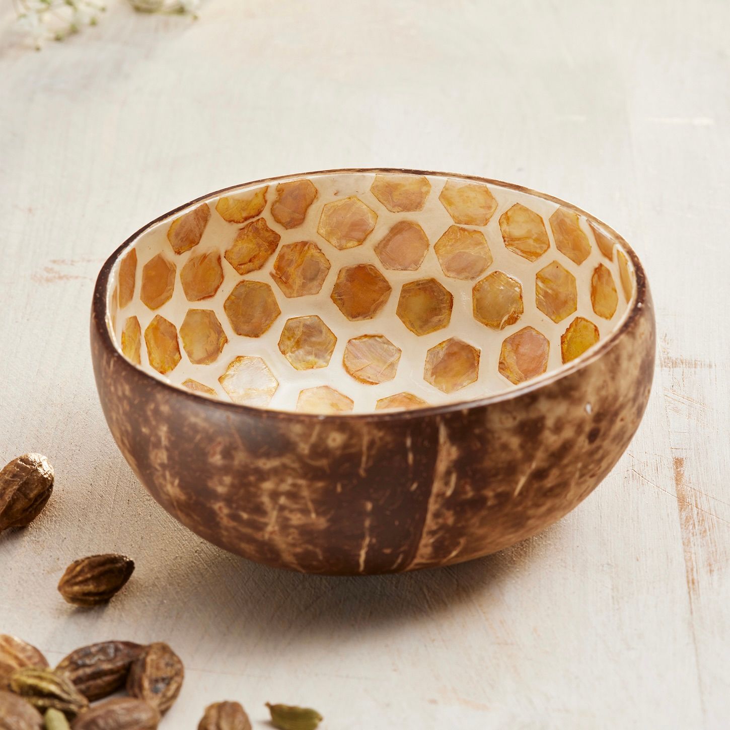 Shell Honeycomb Bee Coconut Bowl