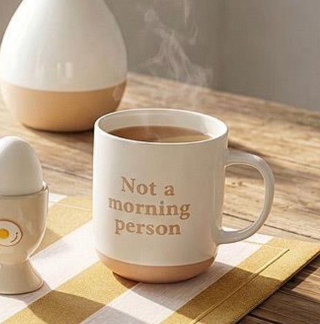 Not A Morning Person Mug