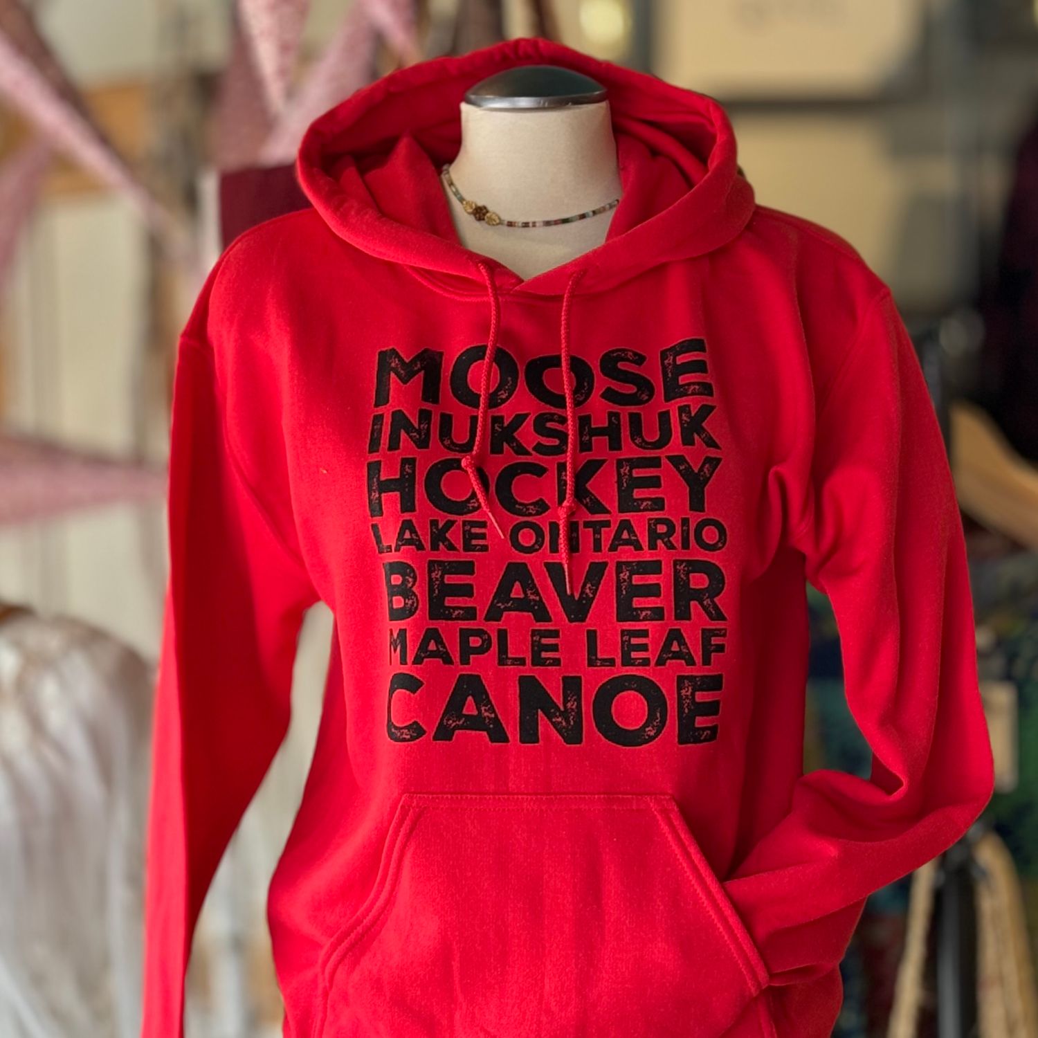 🇨🇦 Lake Ontario Hoodie