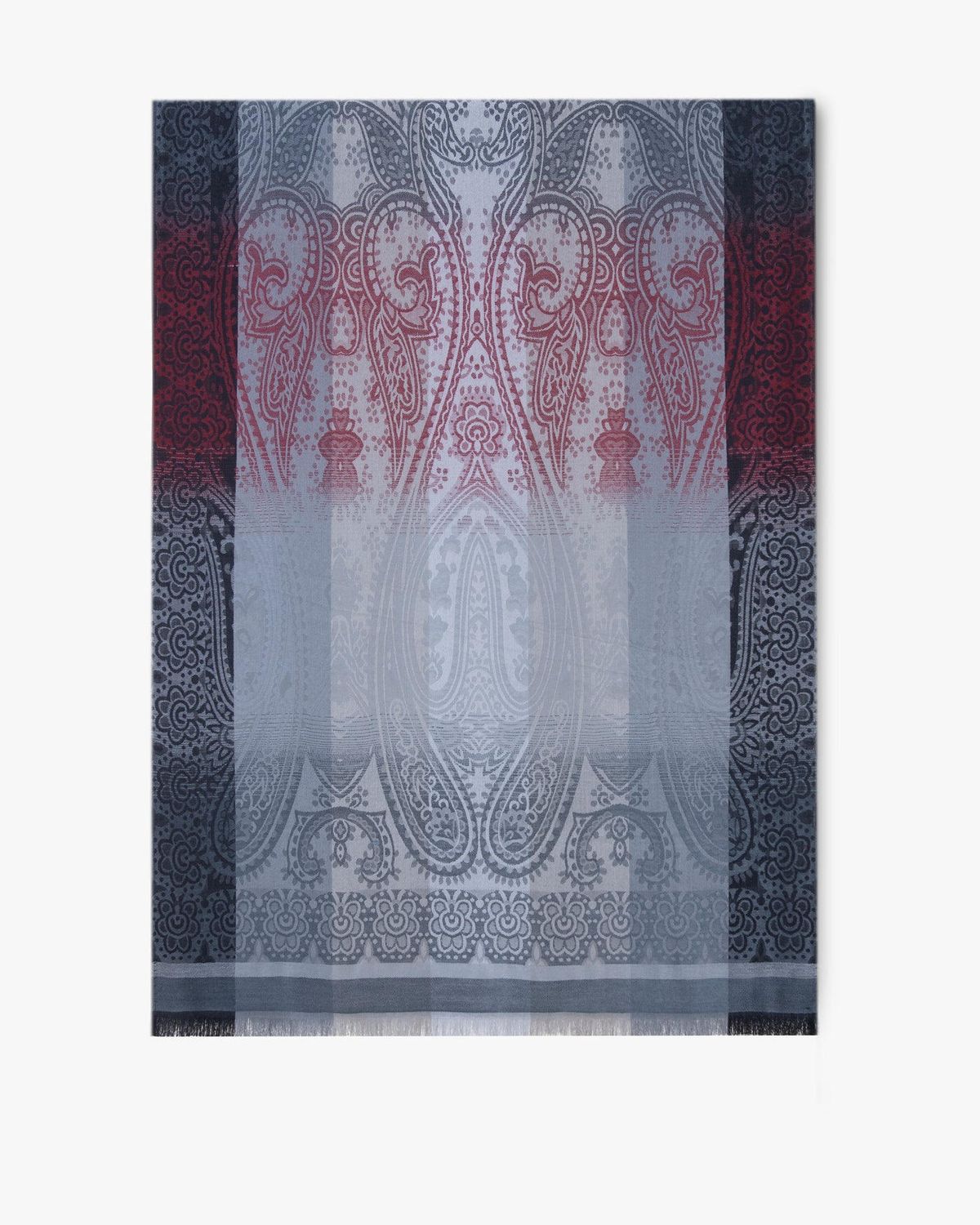 Paisley Colour Border Pashmina