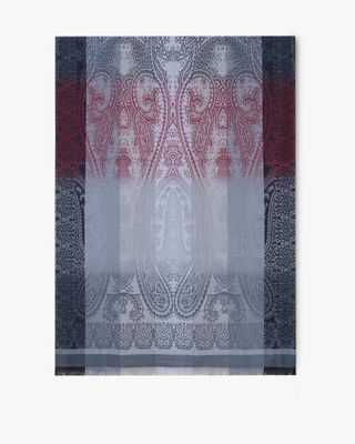 Paisley Colour Border Pashmina