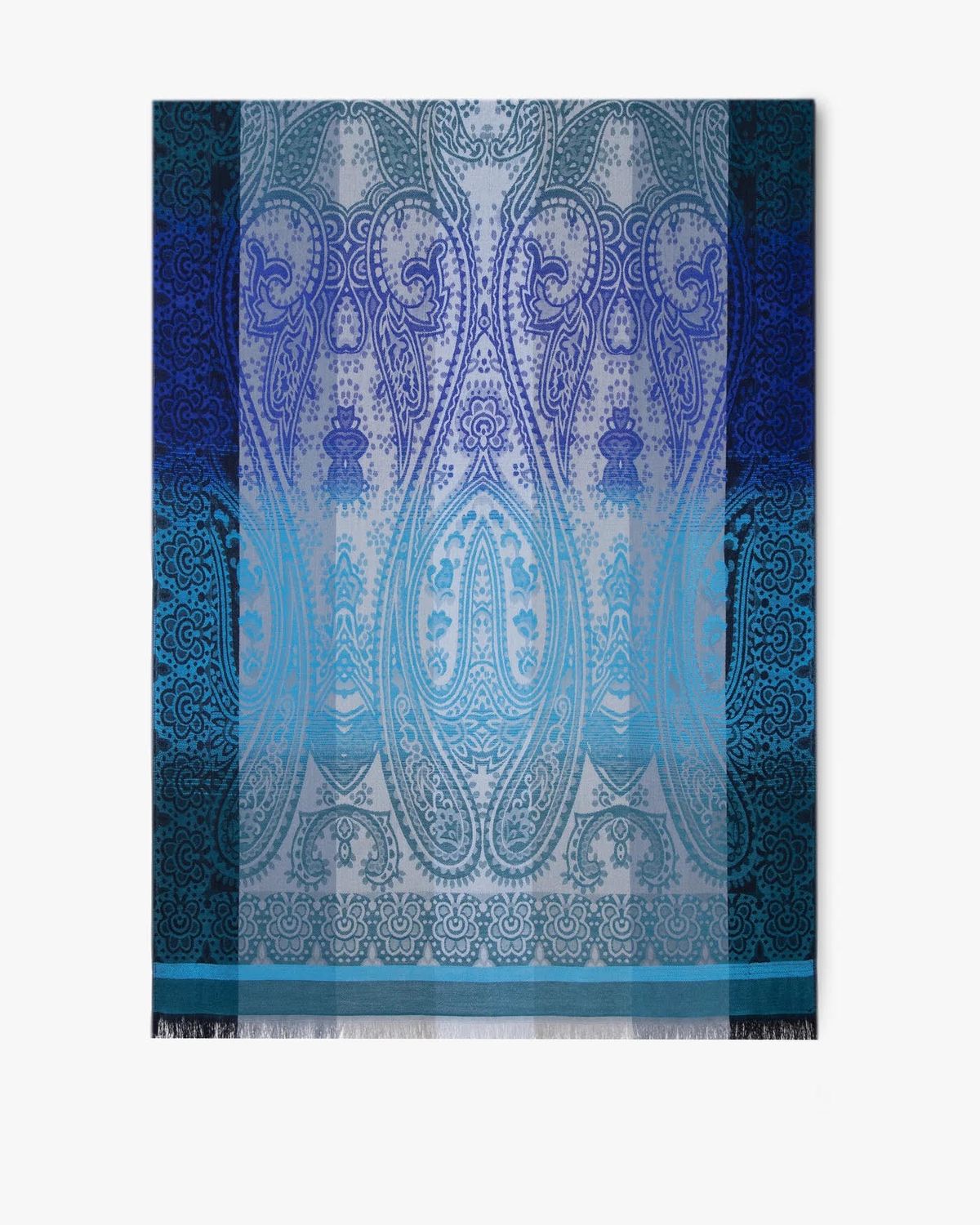 Paisley Colour Border Pashmina
