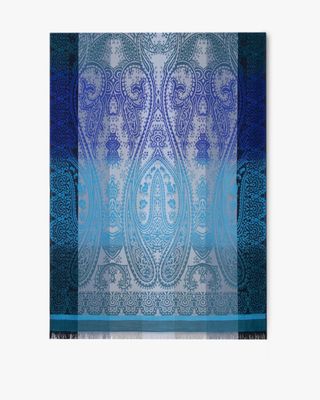 Paisley Colour Border Pashmina