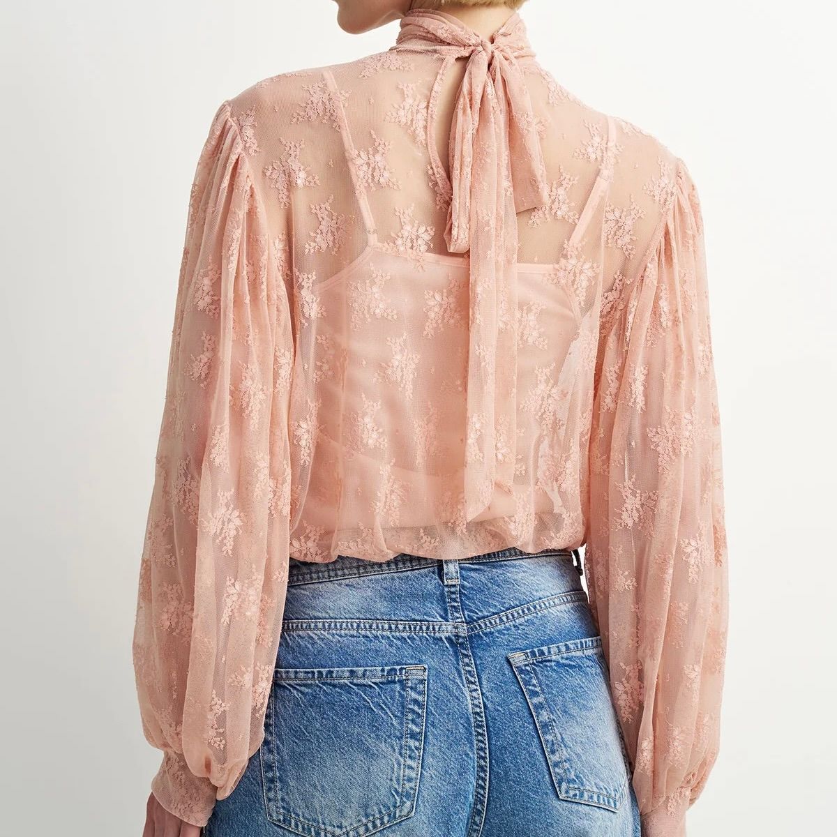 🇨🇦 Ivy Tie Neck Sheer Embellished Top