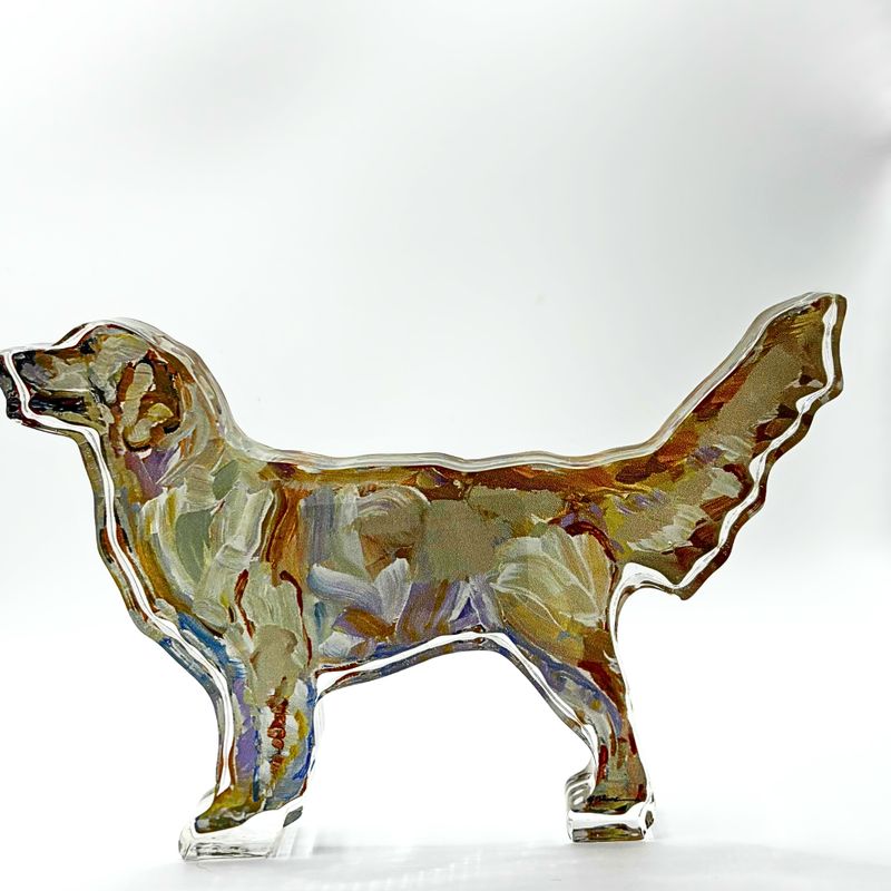 Golden Retriever Light acrylic shelfie LARGE (CM)