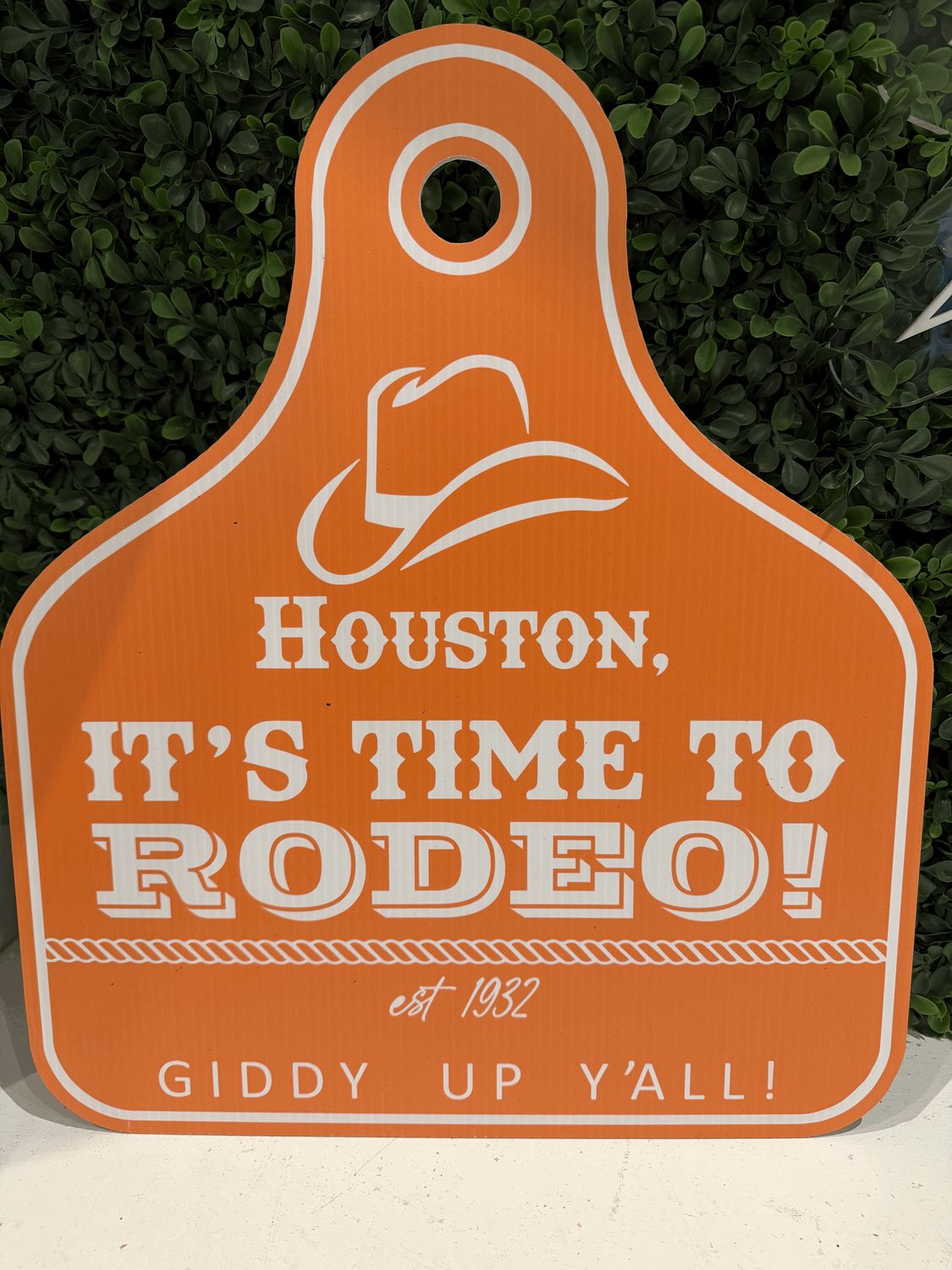 Houston Orange It's Time To Rodeo Door Hanger