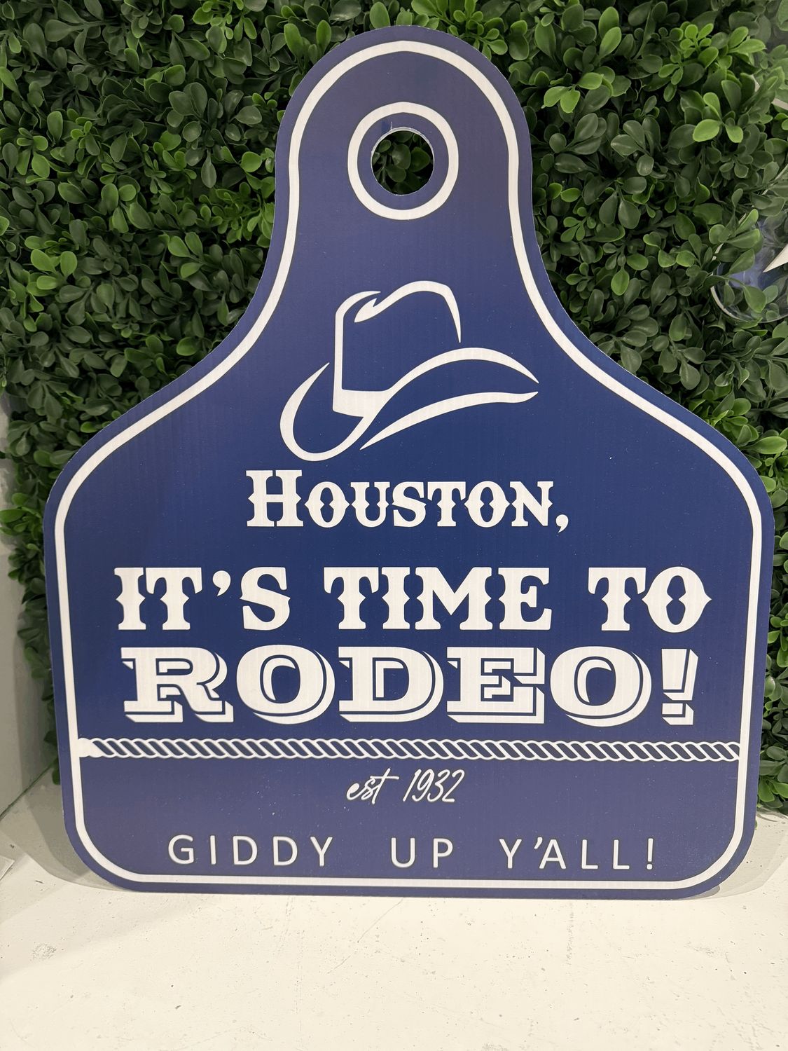 Houston Blue It's Time to Rodeo Door Hanger