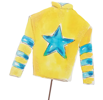Jockey Silks Yard Stake-Lucky Star