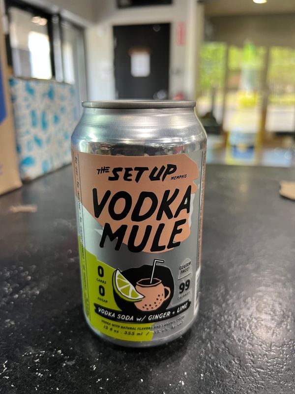 WISEACRE THE SETUP VODKA MULE, 4PK