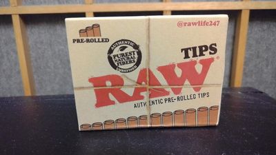 Pappers - Raw - Pre-rolled Tip
