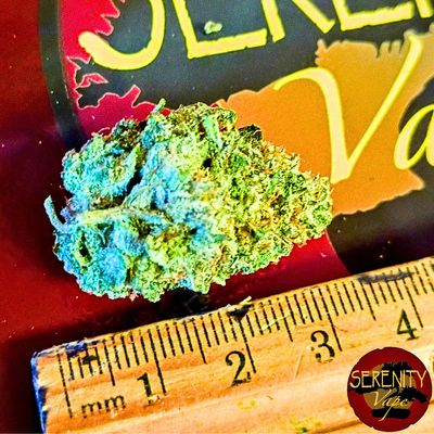 Premium - Flower 1 Gram - Sativa