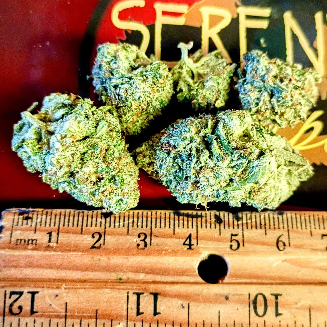 Premium - Flower 1/8 - 3.5g - Sativa