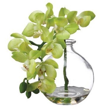 10" Phalaenopsis in Glass Vase