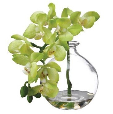 10&quot; Phalaenopsis in Glass Vase