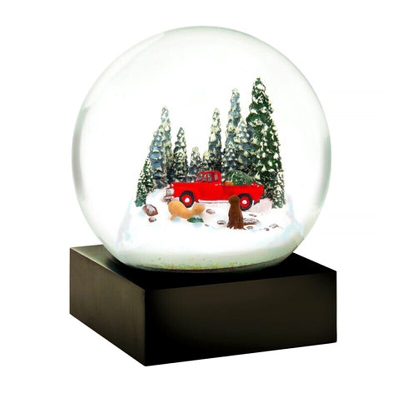 Red Truck Snow Globe