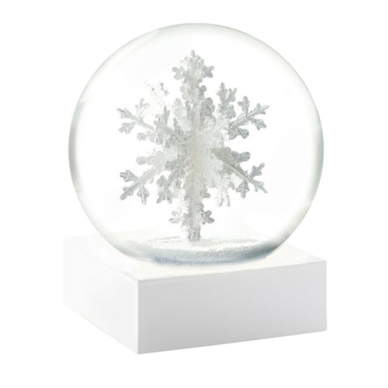Snowflake Snow Globe