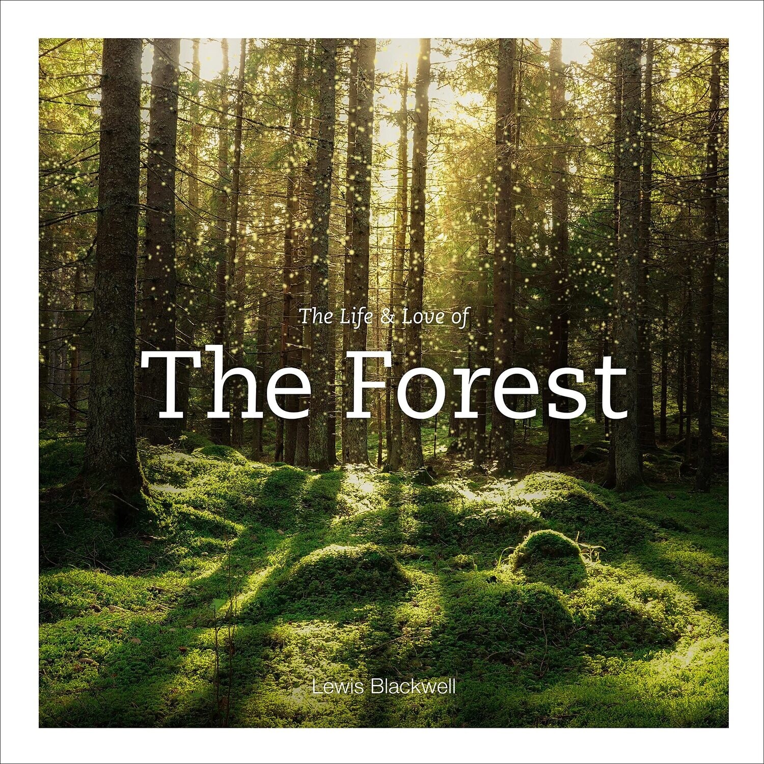 The Life And Love Of The Forest