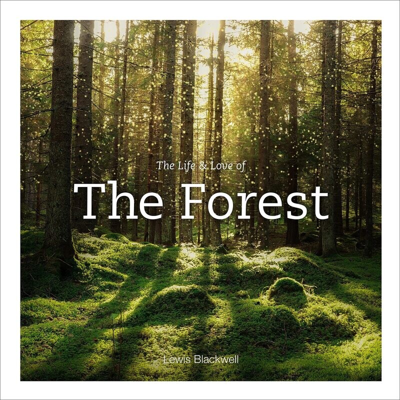 The Life And Love Of The Forest