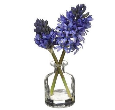 10.5&quot; Hyacinth in Glass Vase  Blue