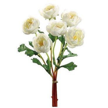 12&quot; RANUNCULUS BUNDLE