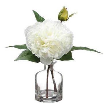 10&quot; Peony in Glass Vase  White