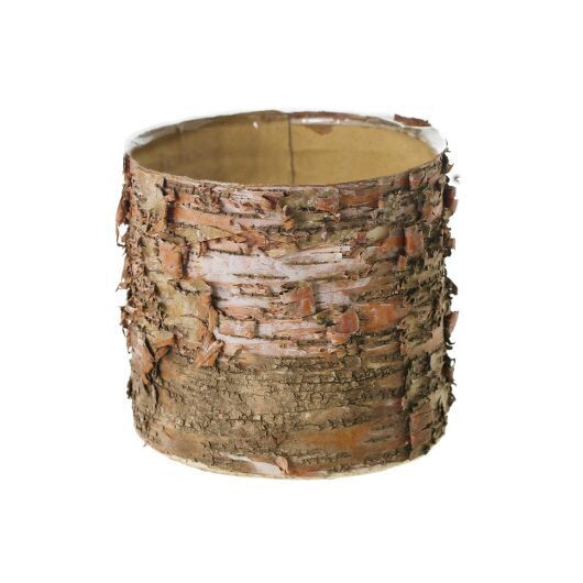 Birch Cylinder 6x5.5&quot;