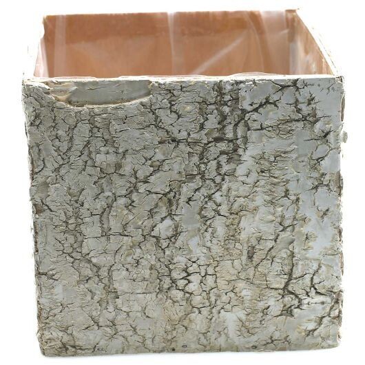 Birch Square Pot 5.5&quot;