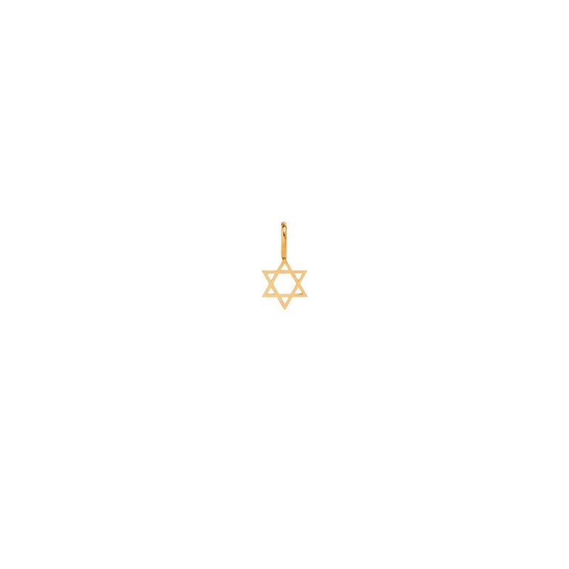 Charm- Star of David 14k