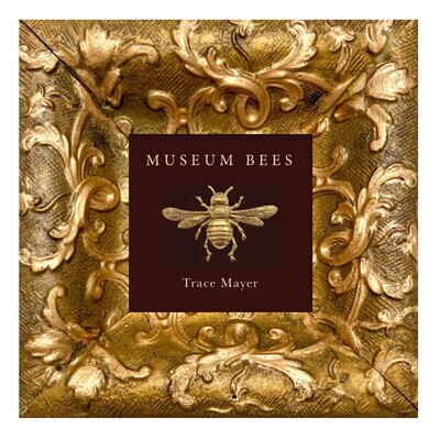 Museum Bees Book