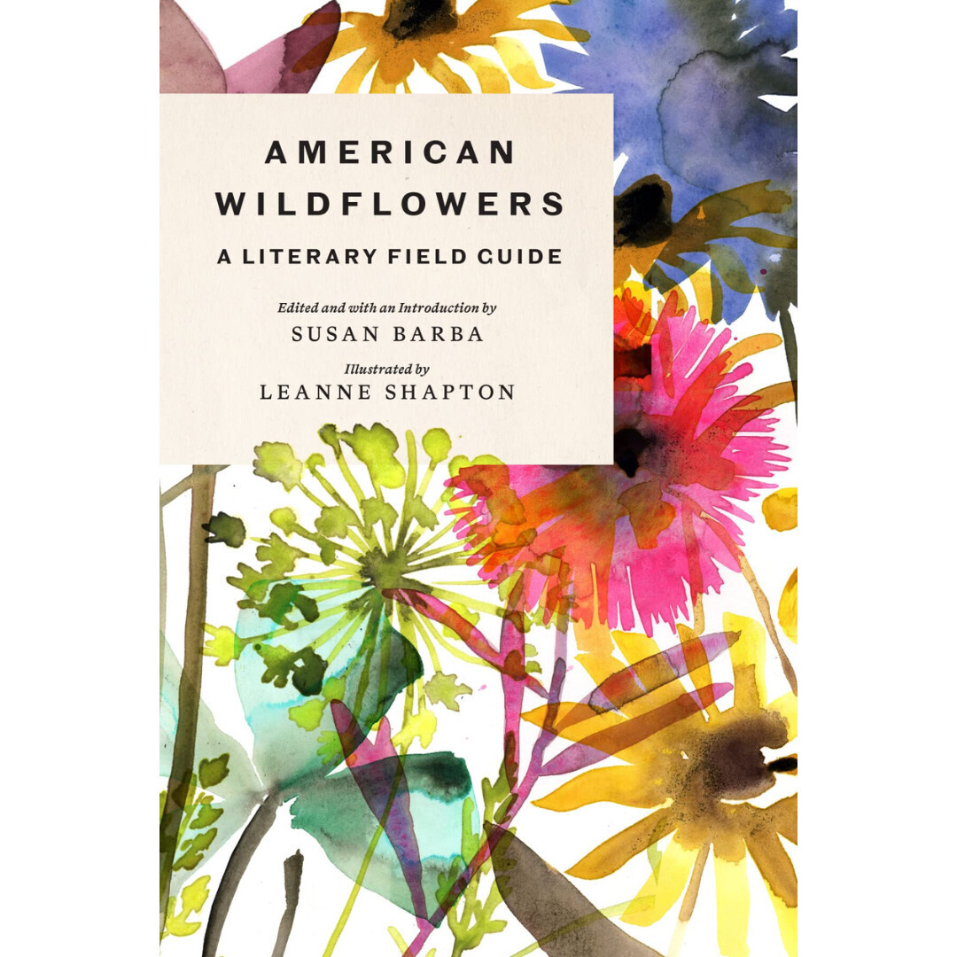 American Wildflowers Field Guide