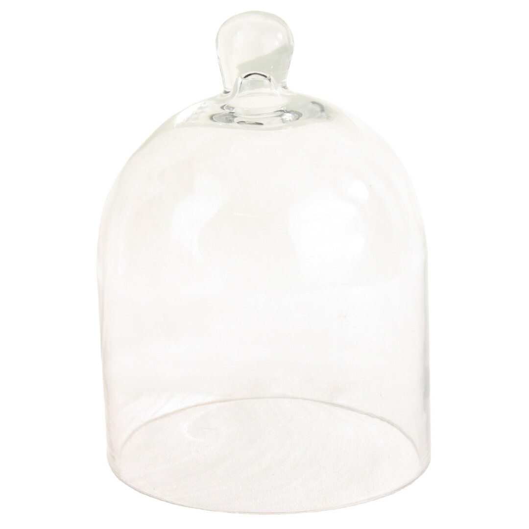 Small Glass Dome