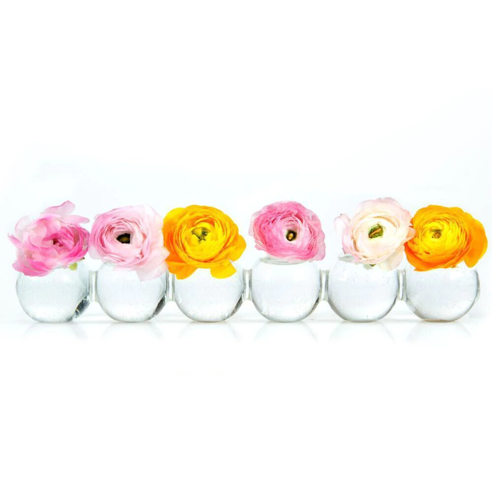 Caterpillar Vase- Small