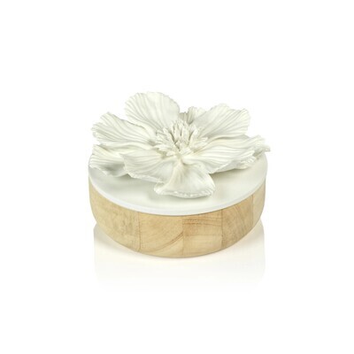 Cosmos Porcelain & Natural Wood Flower Box