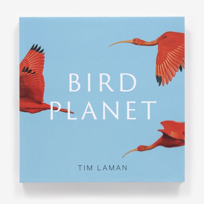Bird Planet