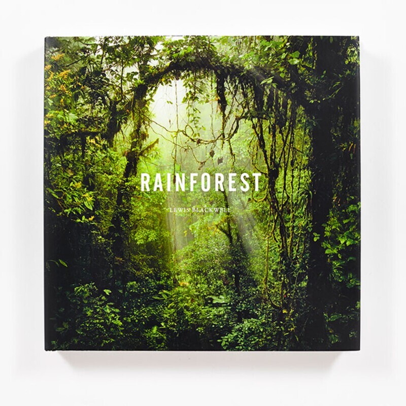 Rainforest