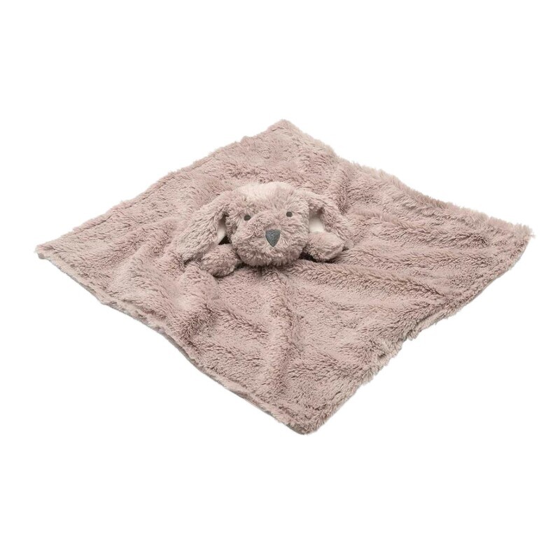 Blankie- puppy