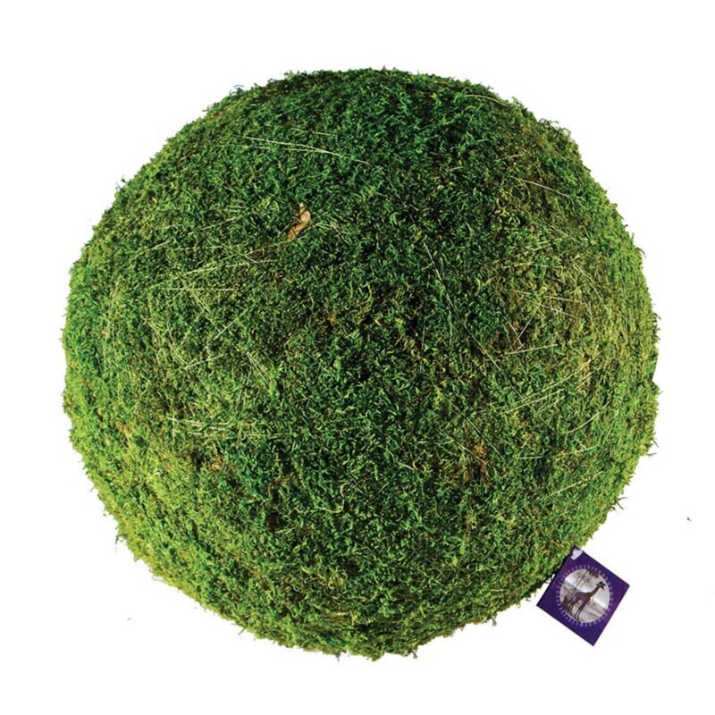 Moss Ball 6&quot;