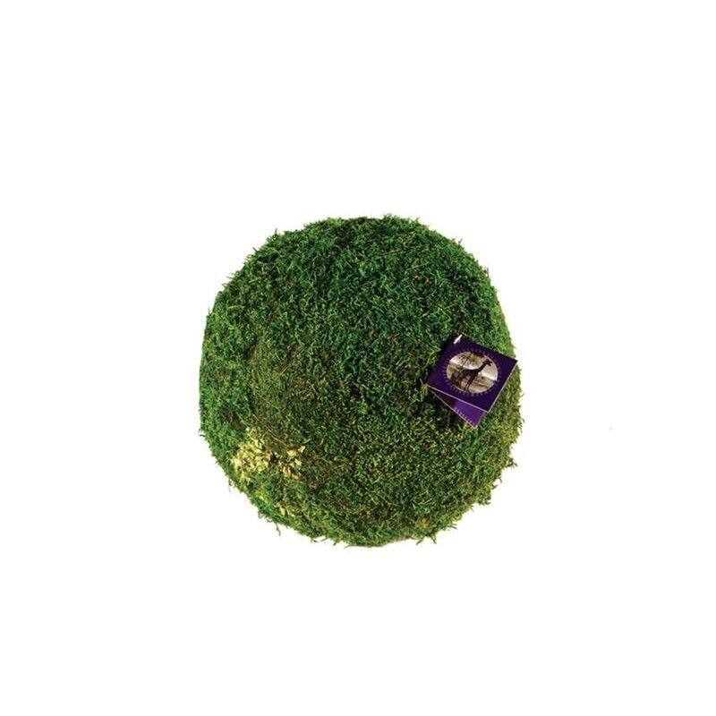 Moss Ball 4&quot;