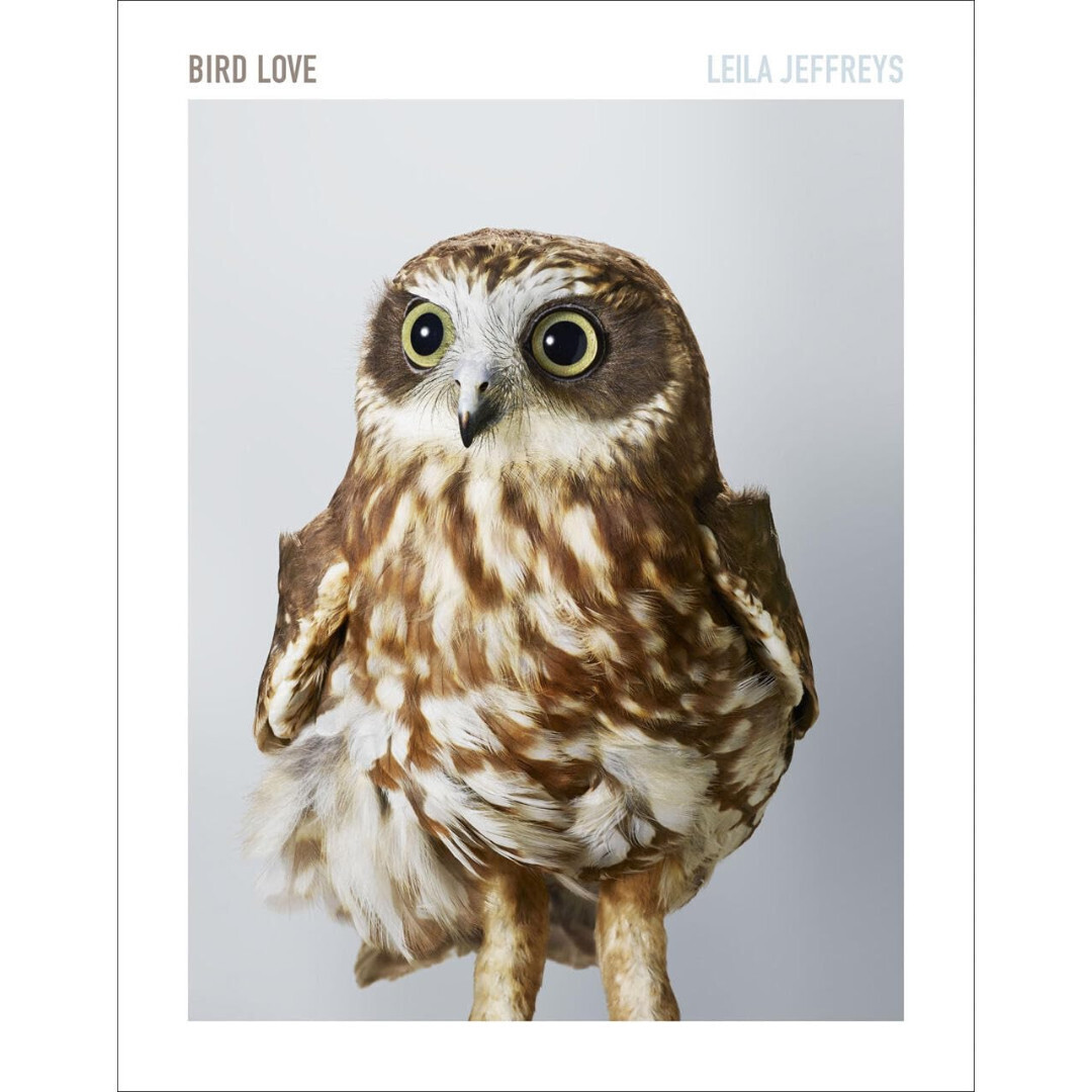 Bird Love
