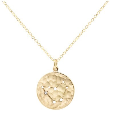 Necklace- Celestial Sign Capricorn
