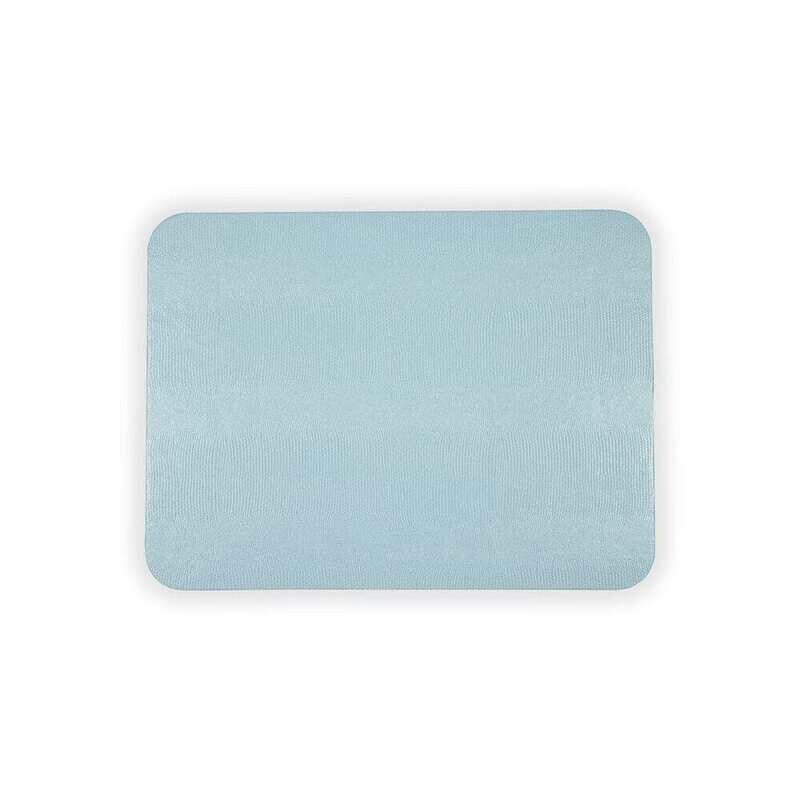 Placemat- Soft Aqua Lizard Rect