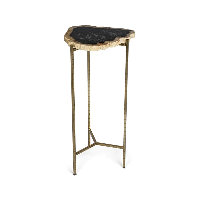 Petrified Wood Side Table - 25.5