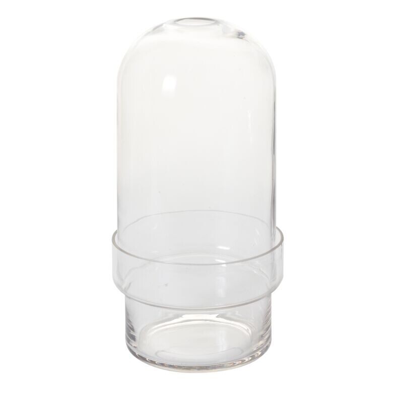 Griffith Terrarium 6.5x12.5
