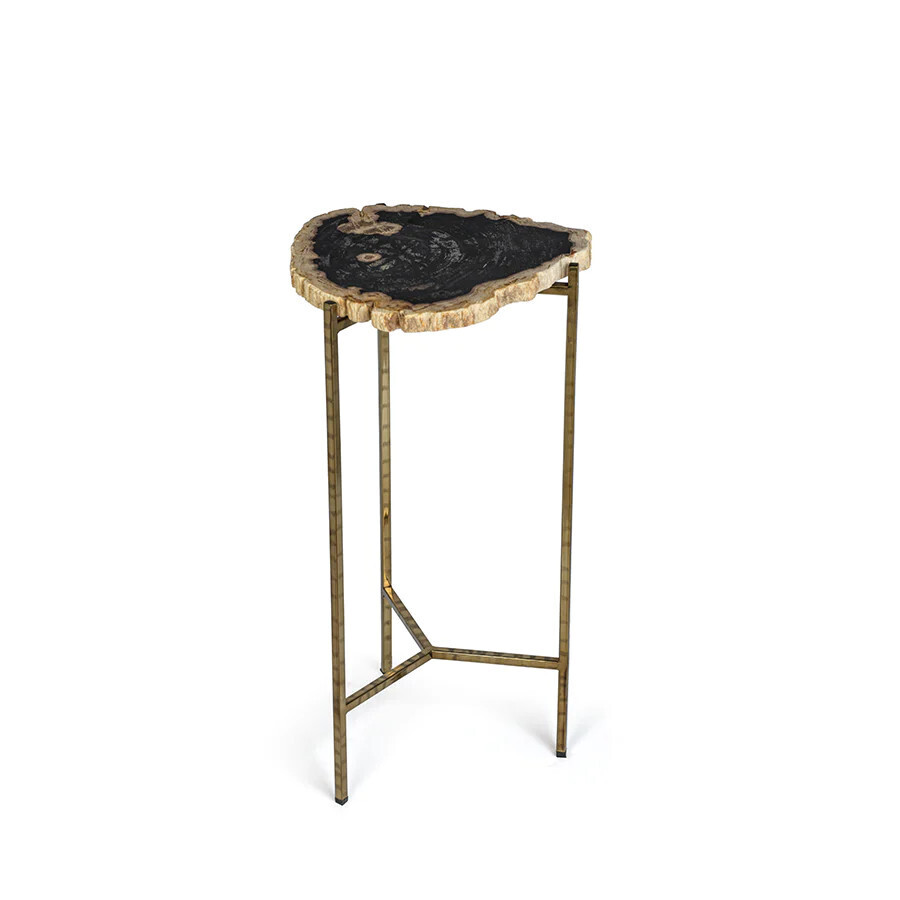 Petrified Wood Side Table - 21.75